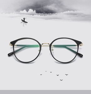 Оправа металл + TR-90 SANTA S22642