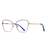 Metal Blue Blocker frames for glasses MORE 3087