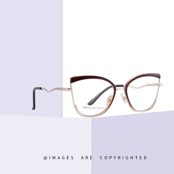Combined frame (metal + TR90) or glasses with blue light protection, with spring hinges FA87103
