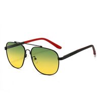 Polarized metal sunglasses with UV400 protection 2924-GT