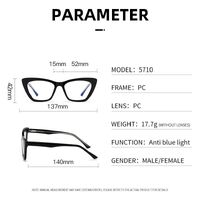 Plastic frame with anti-blue light protection lenses, with spring hinges Elit 5710-EL