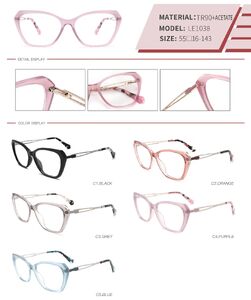 Plastic TR90 and acetate frame with spring hinges LE1038-DA