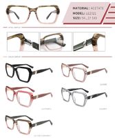 Plastic acetate frame with spring hinges LE2021-DA