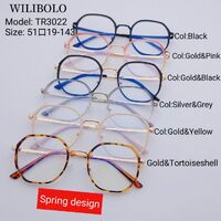 Metal +TR90 ultrathin women's frames with spring hinges Wilibolo TR3022