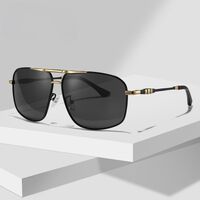 Polarized metal sunglasses with UV400 protection 2872-GT