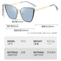 Photochromic glasses with blue light and UV protection 9702-GT