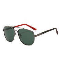 Polarized metal sunglasses with UV400 protection 2924-GT