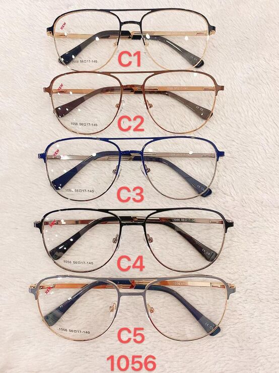 Metal frame for glasses with spring hinges Defile D1056