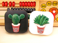 Kit for soft contact lenses (Kits for contact lenses) Cactus917