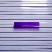 Holder (stand, rack) for glasses cases, for insertion into slots in a wall-mount panel