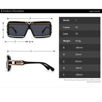 Plastic retro sunglasses Elit LH175-EL