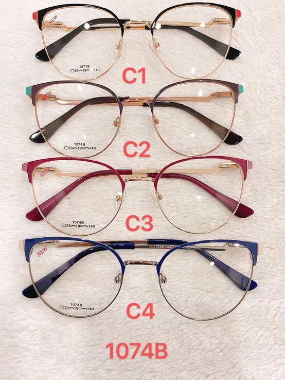 Metal frame for glasses with spring hinges 1074B