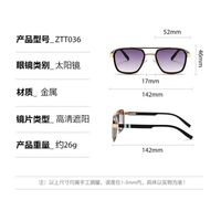 Metal retro sunglasses Elit ZTT036-EL