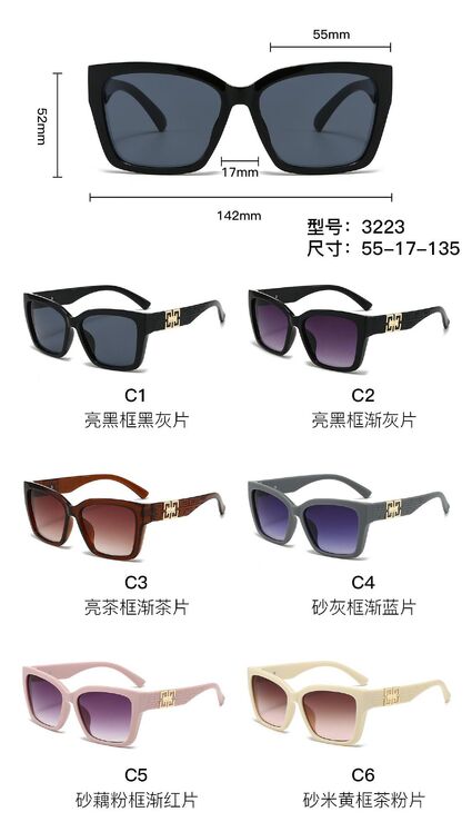 PC plastic sunglasses with plastic hinge 3223W