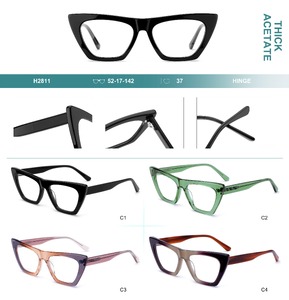 Plastic frames for glasses, thick acetate Big City H2811