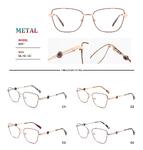 Metal frames for glasses with spring hinges Big City RD9031