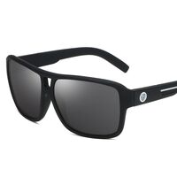 Polarized plastic sunglasses with UV400 protection D008-GT