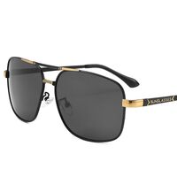 Photochromic glasses with blue light and UV protection 2873-GT