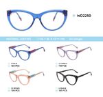 Plastic acetate eyeglasses frame with spring hinges WD2250