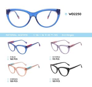 Plastic acetate eyeglasses frame with spring hinges WD2250