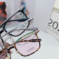 Hybrid frame, titanium alloy + TR90 SANTA M8048