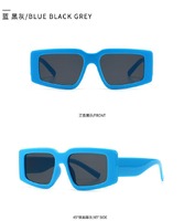 Sunglasses Elit modern model 2237