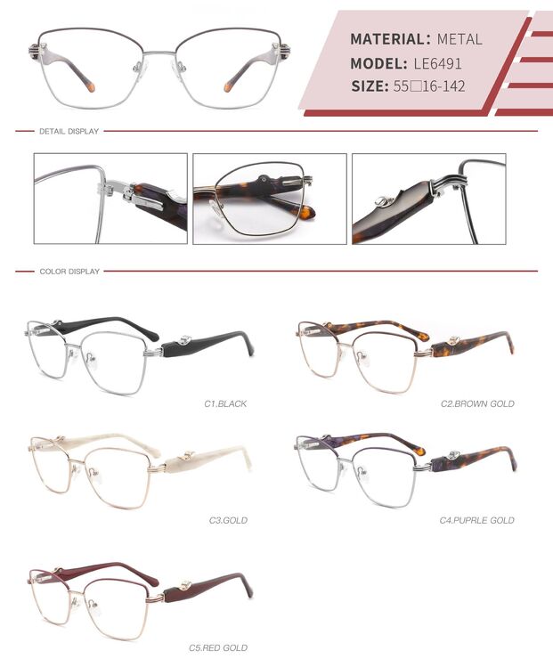 Оправа металлическая с флексом LE6491-DA