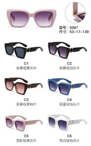 PC plastic sunglasses with metal hinge 5087W