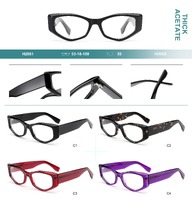 Оправа пластиковая из плотного ацетата Big City H2861