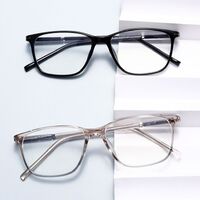 Combined TR90 + metal frame with anti-blue light protection lenses Elit TR1609-EL
