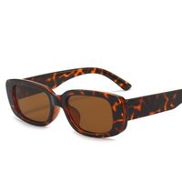 Polarized plastic sunglasses with UV400 protection 9071-GT