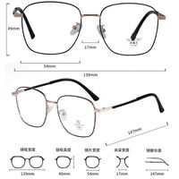 Metal frame with Blue Ray Cut protection lenses MAMO 8663