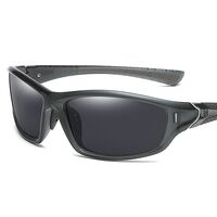 Polarized plastic sunglasses with UV400 protection D120-GT