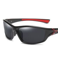 Polarized plastic sunglasses with UV400 protection D120-GT