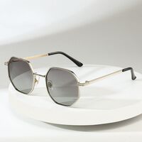 Polarized metal sunglasses with UV400 protection 2966-GT