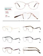 Metal frames for glasses with spring hinges Big City LF1607