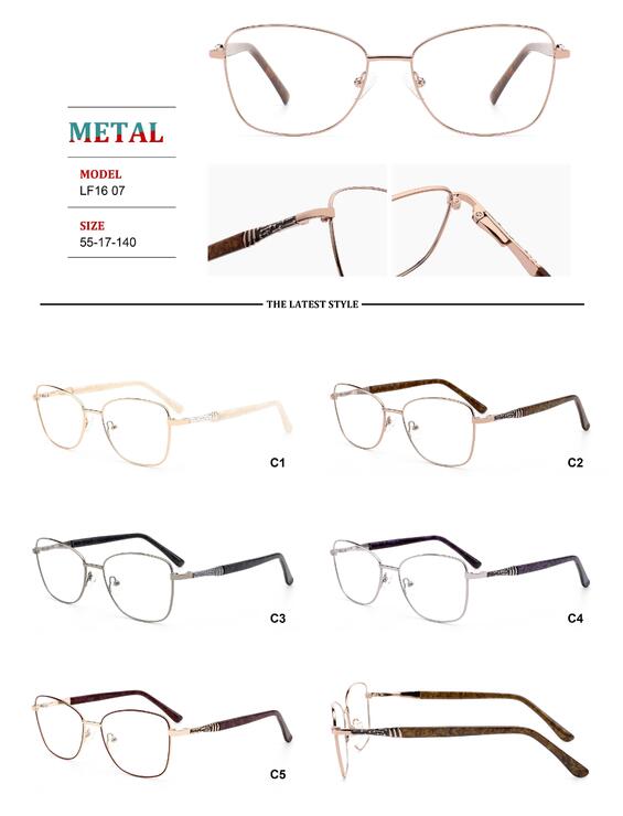 Metal frames for glasses with spring hinges Big City LF1607