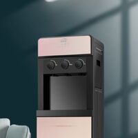 Desktop hot and cold water dispenser SH-LW-108