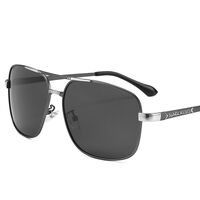 Photochromic glasses with blue light and UV protection 2873-GT