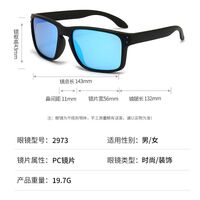 Polarized plastic TR90 sunglasses with UV400 protection 2973-GT