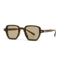 Пластиковые солнцезащитные очки с защитой от синего света Elit 6095-EL