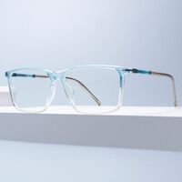 Combined TR90 + metal frame with anti-blue light protection lenses Elit TR1605-EL