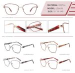 Metal frame with spring hinges LE6439-DA