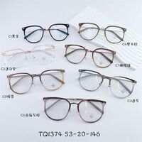 Hybrid frame, metal + TR90, with Blue Block protection SANTA TQ1374