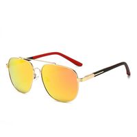Polarized metal sunglasses with UV400 protection 2924-GT
