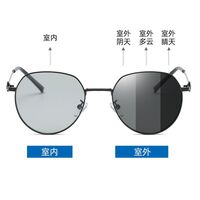 Photochromic glasses with blue light and UV protection 9652-2-GT