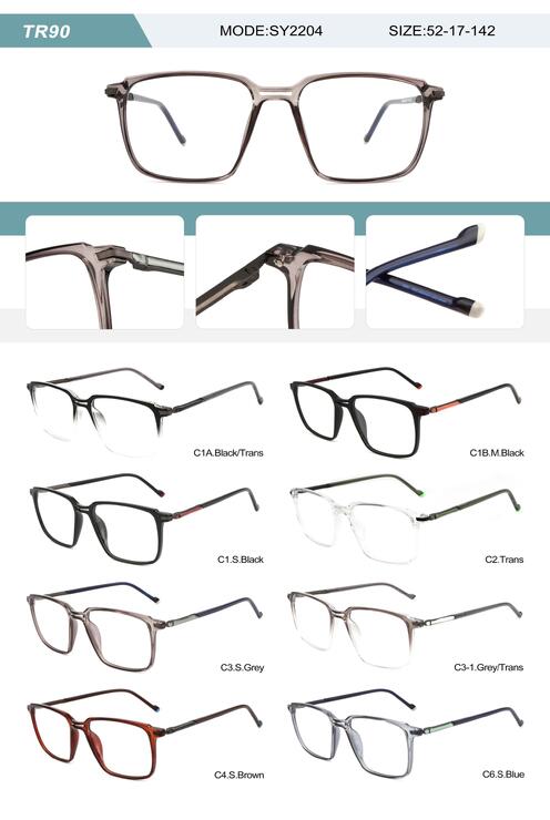 Plastic TR90 frame for men with spring hinges SY2204-DA