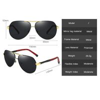 Polarized metal sunglasses with UV400 protection 2850-GT