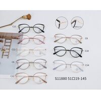 Combined frame (metal + TR90) with Blue Ray Cut protection lenses and flex MAMO S11880