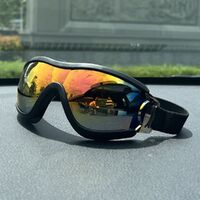 Safety shockproof sports childrens goggles S42炫彩-DX